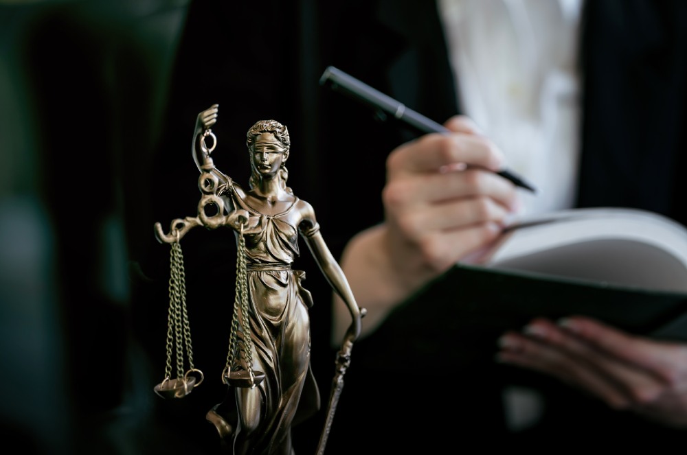 Amicus Curiae Técnico: quando especialistas ajudam a moldar decisões no Judiciário